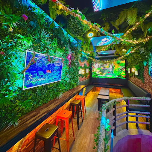 Jungle Dreams Bar