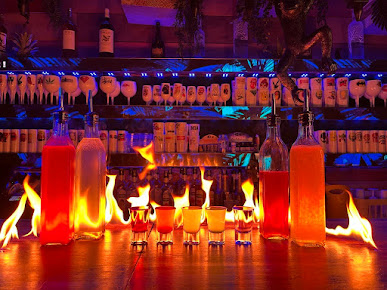 Jungle Dreams Bar