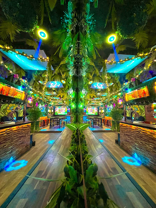 Jungle Dreams Bar