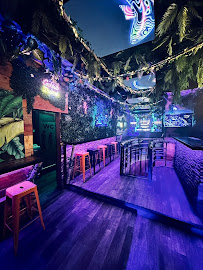 Jungle Dreams Bar